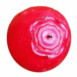 Utschitschara berry